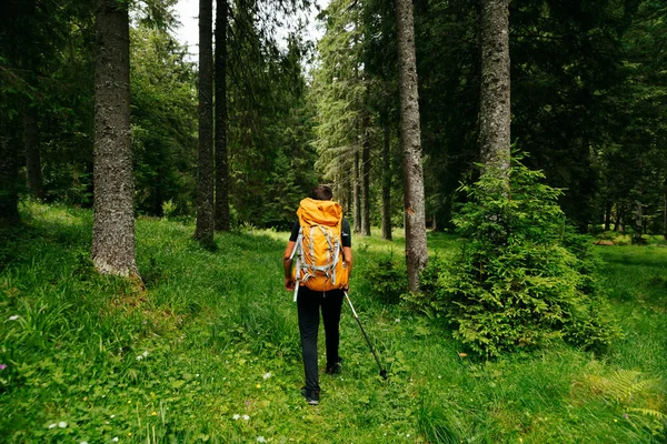 Arkadaki Genç Erkek Sırt Çantalı Yüksek Verimli Yeşil Ormanlarda Yürüyüş — Stok fotoğraf