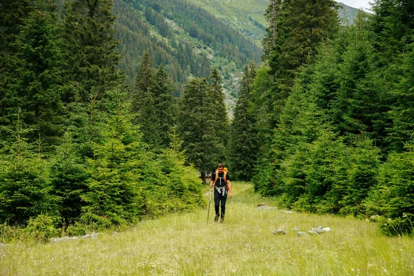 Kafkas asıllı Amerikalı bir adamın kırsal kesimde yürüyüş yaparken görüntüsü. Erkek turist, aktif hayat tarzı macera seyahatleri, gün batımı.