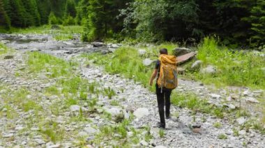 Sırt çantalı genç bir turistin nehir kenarındaki ormanın arka görüntüsü. Genç adam, turist teçhizatı ile donatılmış yürüyüş, yaşam tarzı. etkin yaşam modu, etkin dinlenme