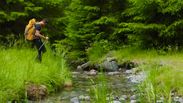 Side View Tourist Young Man Backpack Travels Forest River Young — 图库视频影像