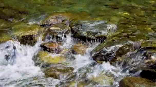 Tetesan Sungai Lembah Pegunungan Permukaan Gerak Lambat Mendidihkan Air Sungai — Stok Video