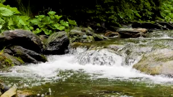 Río Montaña Que Fluye Entre Las Costas Rocosas Las Montañas — Vídeos de Stock