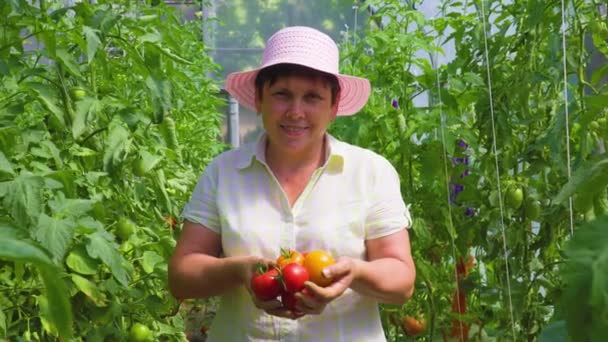 Sorrindo Mulher Madura Segurando Tomates Olhando Para Câmera Jardim Estufa — Vídeo de Stock
