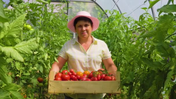 Pyšná Žena Farmářský Majitel Ukazuje Kameře Zralou Organickou Zeleninu Sklizenou — Stock video
