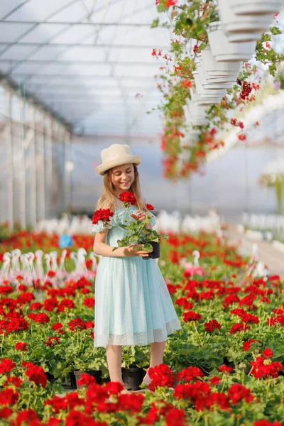 Cute Little Girl Beautiful Dress Greenhouse Child Wearing Hat Hands — 图库照片