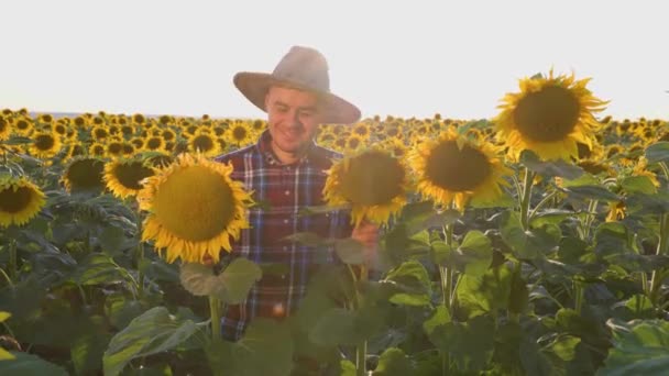 Happy Novice Agronomist Checks His Harvest Seems Everything Man Smiles — Αρχείο Βίντεο