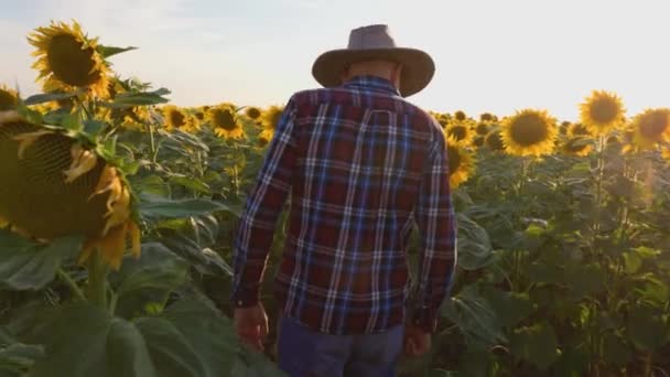 Back View Tracking Shot Young Farmer Hat Walks His Field — Vídeos de Stock