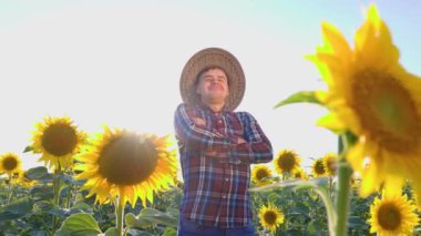 Neşeli genç bir çiftçi, mutlu bir şekilde başını sallayarak ayçiçeklerinin arasında duruyor ve gülümsüyor. Adam kollarını kavuşturuyor. Rüzgar hafifçe esiyor. Arkasında kör edici güneş var..