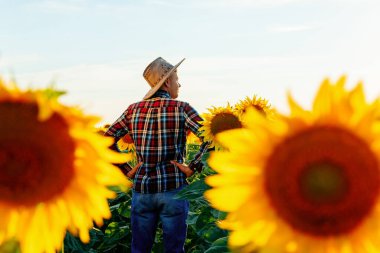 Rear view of an young farmer in a hat standing on the sunflower field. Back view of an agronomist standing with hands on the hips. He looks away to the right. Focus on second plan.