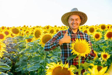 Genç çiftçi ayçiçeklerinin arka planında tarlada duruyor. İşaret parmağı her şeyin yolunda olduğunu gösteriyor. Onun kafasında bir şapka ve yüzünde geniş bir gülümseme var. Kameraya bakıyorum.