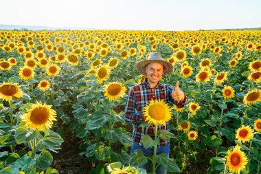 Tatmin olmuş genç bir çiftçi elinde ayçiçekleriyle bir tarlada durup kameraya bakar ve başparmağını kaldırır. Jest her şeyin yolunda olduğunu gösterir. Arkasında ufuk çizgisi var. İnsan ve kopyalama alanı