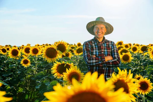 Glad Farmer Stands Sunflowers His Arms Folded Worker Man Smiles — Foto de Stock