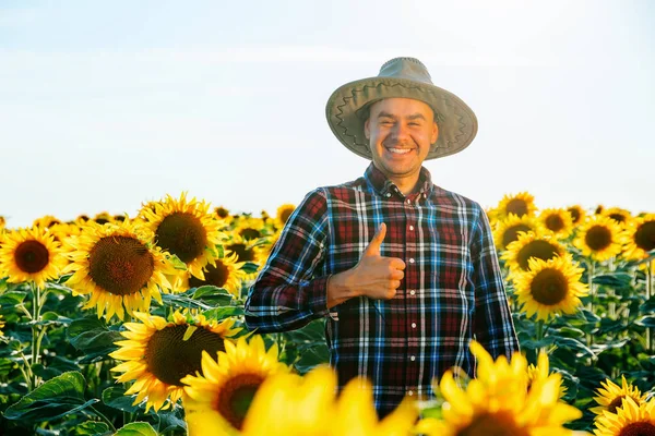 Smiling Young Man Farmer Stands Field Sunflowers Thumb Successful Young — Stock fotografie