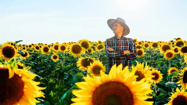 Portrait Young Farmer Hat Inspects His Sunflower Crop Sunny Day — Foto de Stock