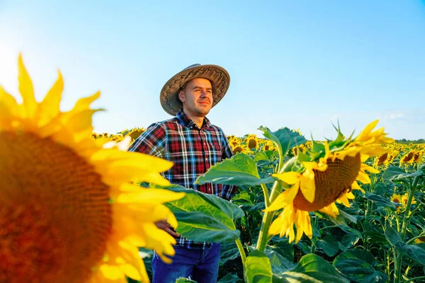 A young pleasant farmer stands in a field with sunflowers and looks into the distance. The man thought. A slight smile on his face, a hat on his head in a sunny day. Male and copy space