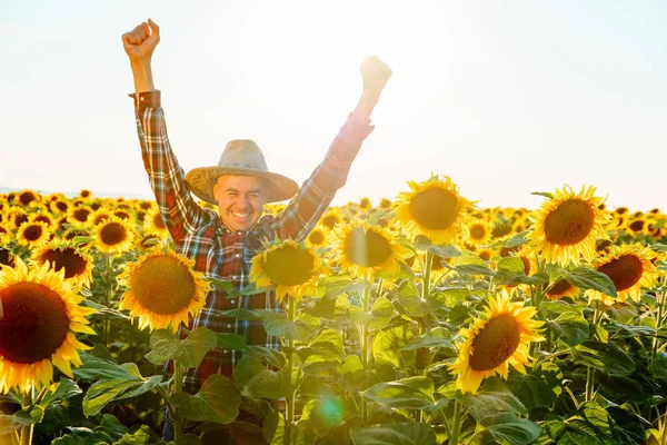 Young Successful Farmer Rejoices His Success Sunflower Field Looking Camera — Foto de Stock