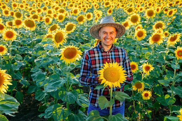 Top View Lucky Young Farmer Hat Looking Camera Stands Sunflower — Foto de Stock