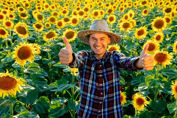 Young Farmer Man Shows Thumb Front Sunflowers Gesture Shows How — Foto de Stock