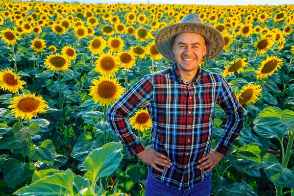 Nice Young Farmer Sun Hat Stands Field Sunflowers Man Holds — Foto de Stock