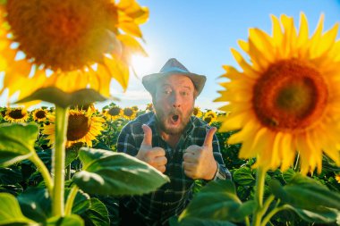 amazed joyful senior rural farmer man show thumbs up and wearing countryside hat over sunflower field background. aged male looking at camera with surprised expression, excited face.