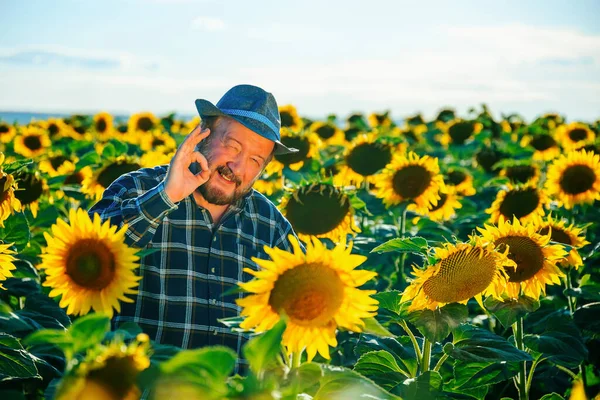 elderly happy farmer man in a hat and shirt, with a mustache and bearded shows sign ok. Smiling senior farmer male or agronomist looking at camera in sunflower field. copy space
