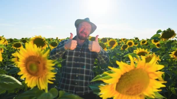 Bearded Aged Farmer Man Hat Joyful Showing Thumb Field Sunrise — Stockvideo