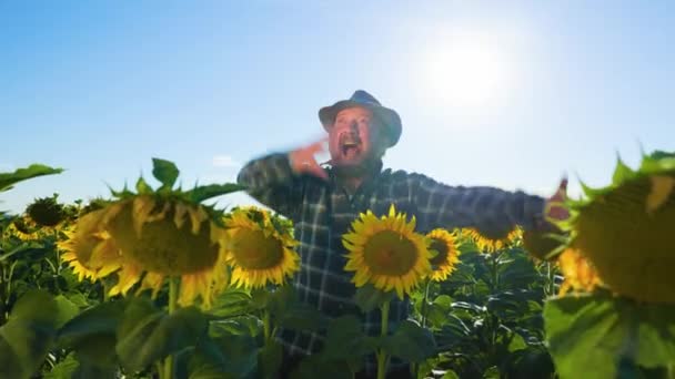 Screaming Satisfied Successful Elderly Farmer Raising Hands Victorious Pose Sunflower — Vídeo de stock