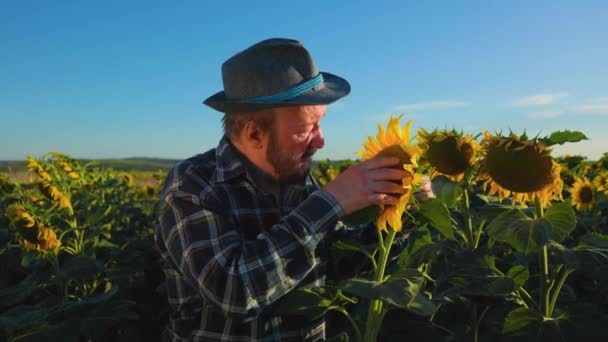 Agriculture Quality Control Senior Farmer Monitoring Harvest Growth Progress Data — Wideo stockowe