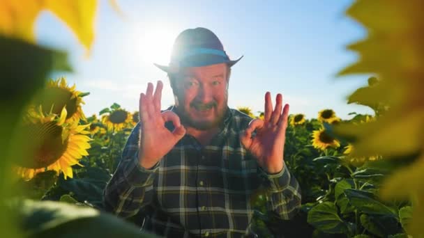 Aged Beautiful Farmer Man Wearing Shirt Hat Happy Face Smiling — Stock videók