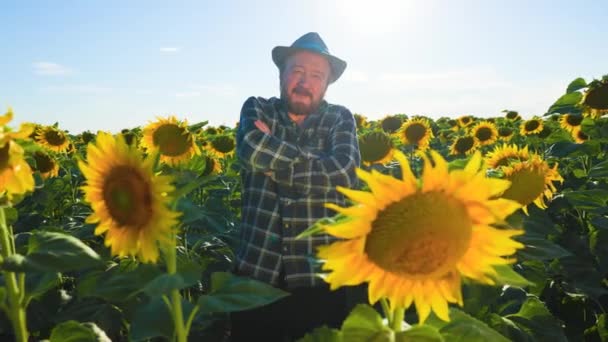 Senior Handsome Farmer Arms Crossed Has Hat His Head Sunflower — Vídeo de Stock