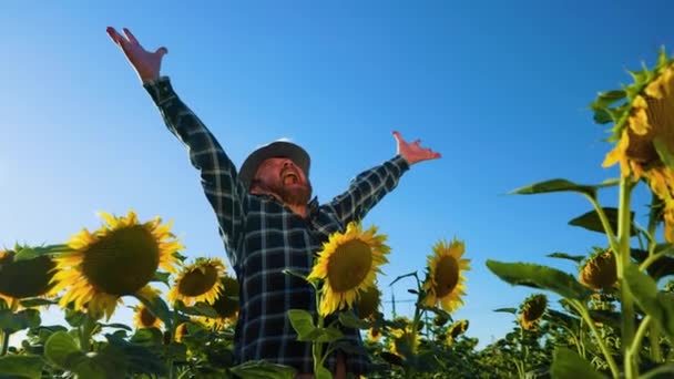 Senior Screaming Man Farmer Standing Farmland Arms Raised Joyful Elated — 图库视频影像