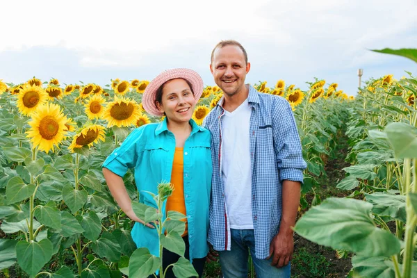 Front view of happy farmers family in a field with sunflowers, looking at the camera and at each other. Young man and woman are happy they have a rich harvest. Background sunflowers and copy space