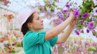 Side view of a diligent greenhouse worker who takes care of flowers, the woman picks off the dry petals. The girl takes her work seriously. Sun hat on head.