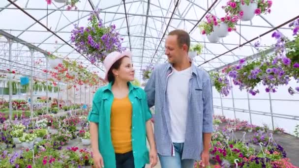 Young Agronomists Started Greenhouse Business Walk Hothouse Happy Smiles Faces — Stock Video
