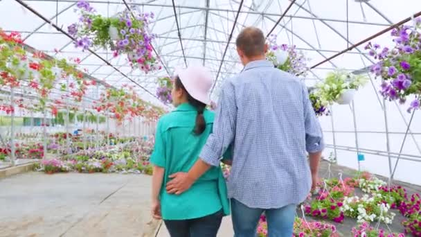 Back View Man Woman Walking Greenhouse Flowers Grown Them Care — Video