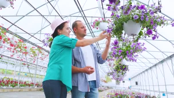 Family Young Florists Carefully Joyfully Examines Flower Pot Twisting Different — Vídeos de Stock