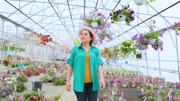 Sweet Girl Florist Walks Greenhouse Flowers Carefully Examines Her Possessions — Vídeos de Stock