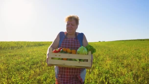 Farmer Vegetable Box Woman Walking Countryside Field Country Life Food — Vídeos de Stock