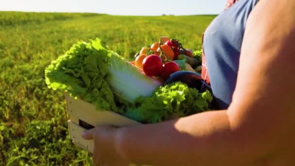 Close Farmer Woman Holding Wooden Box Organic Vegetables Walk Woman — Stok video