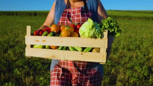 Αγρότης Ένα Κουτί Λαχανικών Μια Γυναίκα Που Περπατάει Ένα Χωράφι — Αρχείο Βίντεο