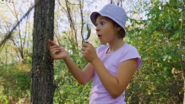 Little Child Naturalist Botanist Magnifying Glass Surprised Shocked Explores Tree — Vídeo de Stock