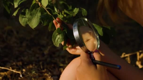 Close Girl Kid Looking Leaf Forest Magnifying Glass Children Friends — Vídeo de Stock