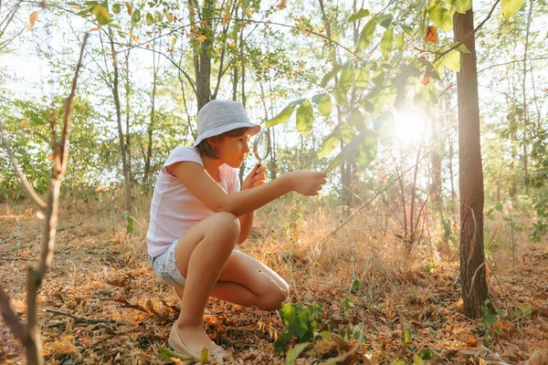 Cute Adorable Caucasian Girl Kid Looking Tree Forest Magnifying Glass — Photo