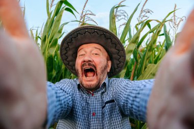 A grimace of incredible happiness, joy and success from an elderly successful screaming farmer in a cornfield, front view looking at camera. Bearded, hat on head, plaid shirt, his hands