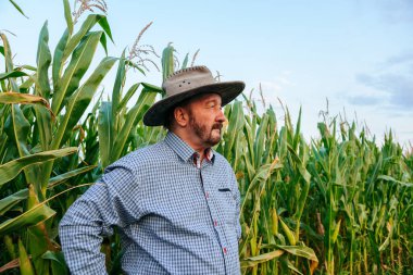 Senior bearded farmer agronomist looks thoughtfully into the distance, spread view from below. Man thinks about the harvest. On the face is satisfaction from the result. A hat on his head.