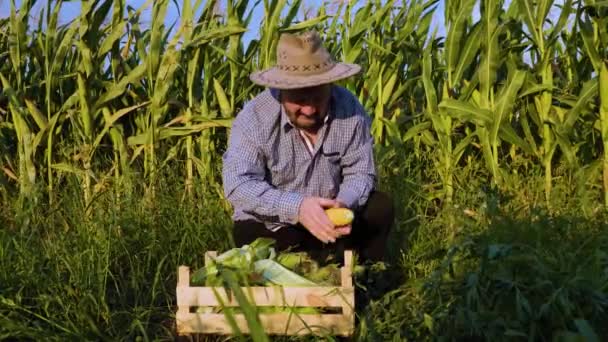 Front View Elderly Smile Male Farmer Looking Camera Cornfield Holds — Video