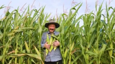 Front view of old farm worker looking at camera getting out of the corn while holding harvest tightly. On the face of satisfied smile and satisfaction. The harvest is rich. The work is in full swing.