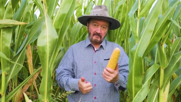 Front View Elderly Farmer Looking Camera Holds Ripe Corncob His — Video
