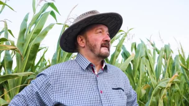 Senior Bearded Farmer Agronomist Looks Thoughtfully Distance Spread View Man — Vídeo de stock
