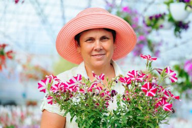Front view nice senior female florist looking at camera stand in greenhouse smile hold hands pot of flower. Aged woman is happy, flowers in pots are growing beautiful, healthy and ready to sale.